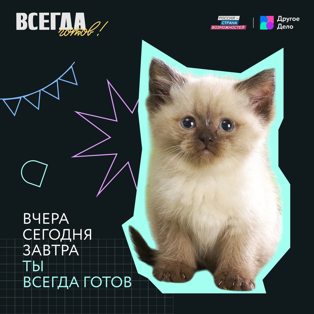 Всегда готов_Другое дело.
